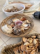 Készülnek a hangszerkészítés hozzávalói, a föld és a tenger ajándékai