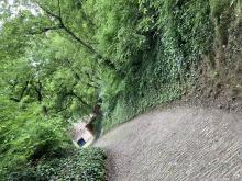 A második napon a Zeneligetben várom a zenebarátokat