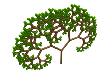 Pythagoraszi fa fraktál (Pixabay)